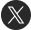 x icon